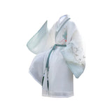 Children's Hanfu - traditional cultural clothing with scholarly motifs
