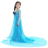 Frozen Elsa Princess Dress