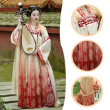 Chinese Traditional Dress Hanfu with floral patterns