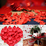 Wedding Aisle Rose Petals