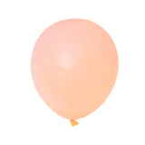 Macaron Pastel Party Balloons
