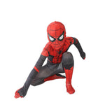 Superhero Spider-Man Cosplay Costume